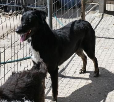 Unser freundlicher Rudi