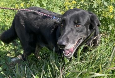 Unser freundlicher Rudi