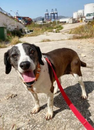 Tamara, stets fröhlich und lebensfroh