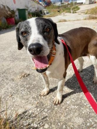 Tamara, stets fröhlich und lebensfroh