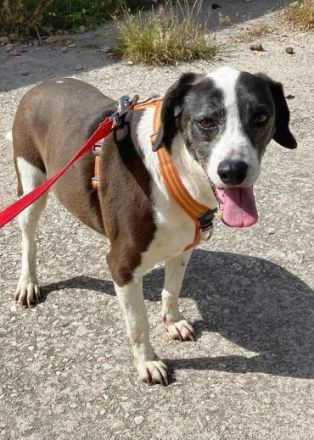 Tamara, stets fröhlich und lebensfroh