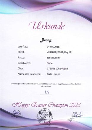 Jack Russell Deckrüde