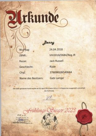 Jack Russell Deckrüde