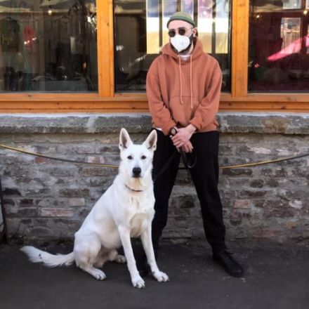 Deckrüde Schweizer Schäferhund (Kein Verkauf)