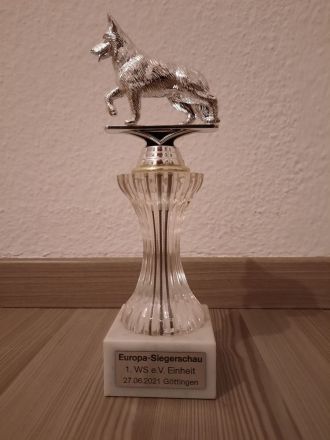 Deckrüde Schweizer Schäferhund (Kein Verkauf)