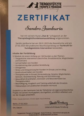 Deckrüde Schweizer Schäferhund (Kein Verkauf)