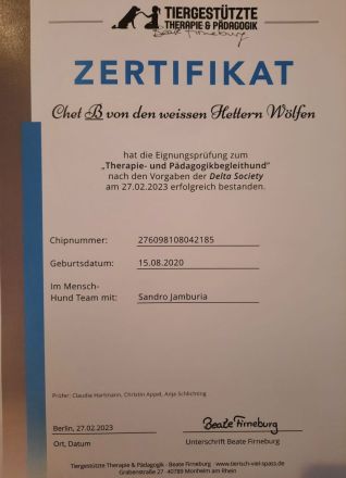 Deckrüde Schweizer Schäferhund (Kein Verkauf)