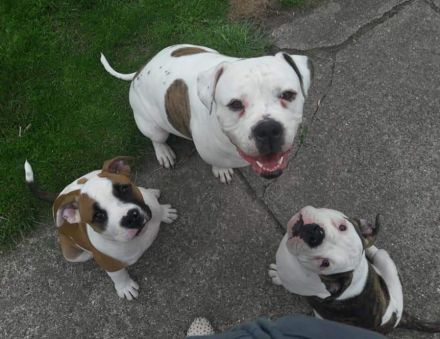 Liebevoller,sensibler & körperkontaktfreudiger Tollpatsch sucht s/eine Herzdame