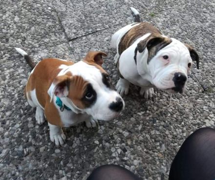 Liebevoller,sensibler & körperkontaktfreudiger Tollpatsch sucht s/eine Herzdame