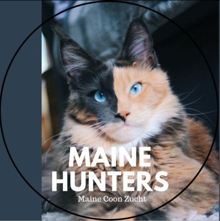 Mainehunters