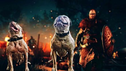 rasstypische American Bulldog Welpen, extrem Bully Typ