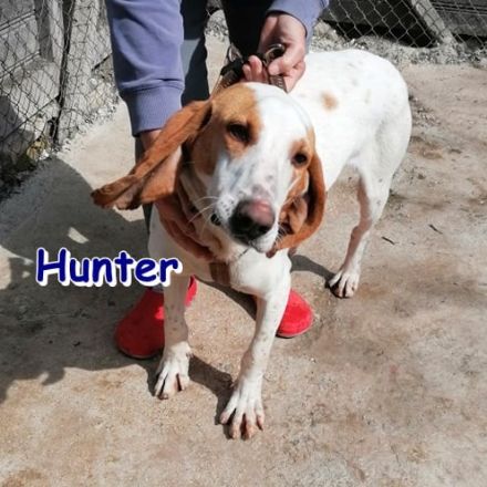 HUNTER ❤️