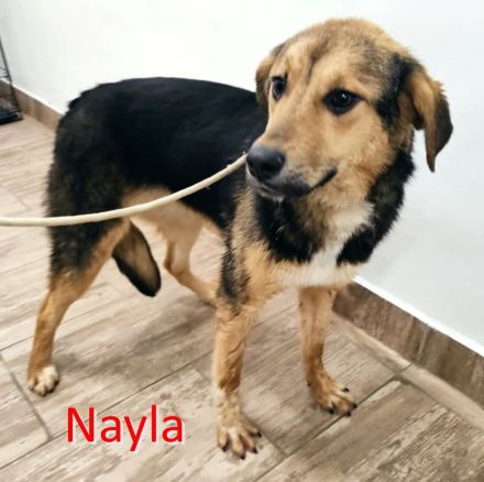NAYLA  ❤️
