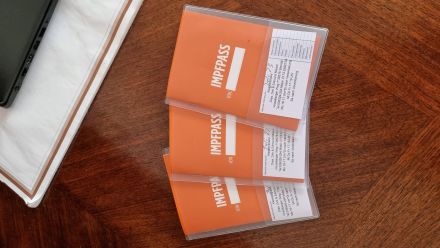 Edelmix BKH Siam bildschön! Nur noch ein Kater!