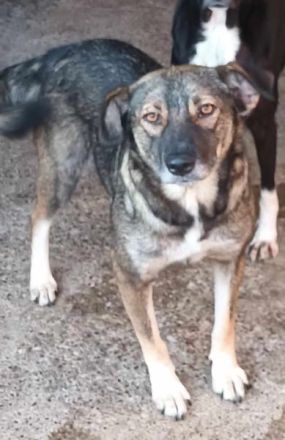 Ylenia, sehr freundlich und lieb