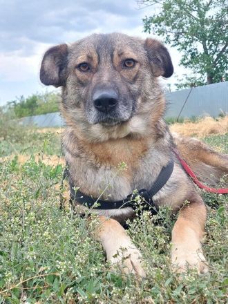 Ylenia, sehr freundlich und lieb