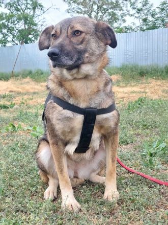 Ylenia, sehr freundlich und lieb