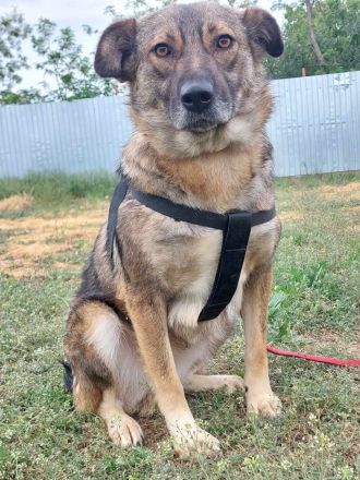 Ylenia, sehr freundlich und lieb