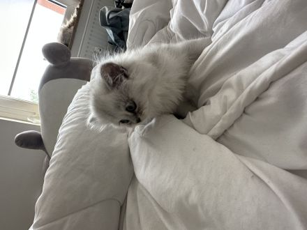 BKH und BLH suchen neues Haus