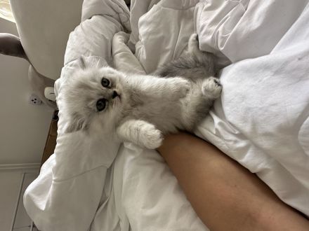 BKH und BLH suchen neues Haus