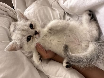 BKH und BLH suchen neues Haus