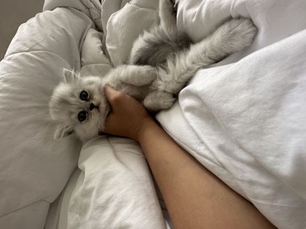 BKH und BLH suchen neues Haus