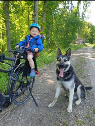 Deckrüde - Ost Europäischer Schäferhund