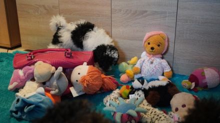 Süße Zwerg- und Toy Pudel Welpen mit Papiere