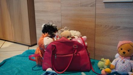 Süße Zwerg- und Toy Pudel Welpen mit Papiere