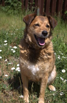 Wir sind Hummel und Momo!