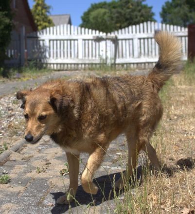 Wir sind Hummel und Momo!