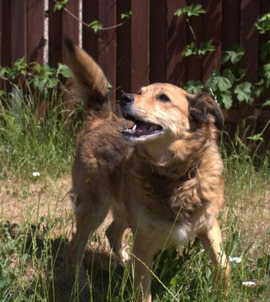 Wir sind Hummel und Momo!