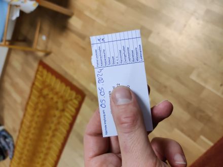 Verspielte graue Katze