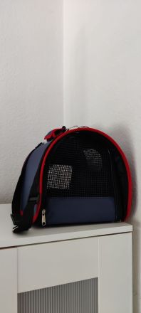 Verspielte graue Katze