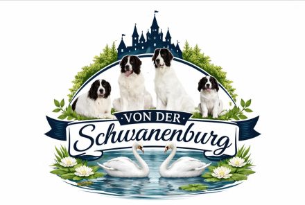 Landseerwelpen von der Schwanenburg