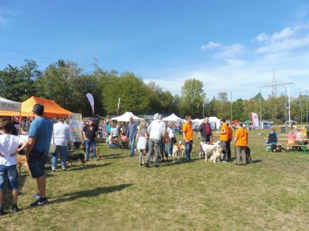 CITA - Sommerfest mediterraner Hunde