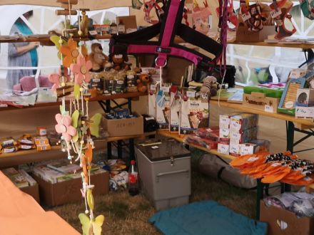 CITA - Sommerfest mediterraner Hunde