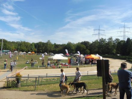 CITA - Sommerfest mediterraner Hunde