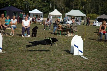 CITA - Sommerfest mediterraner Hunde