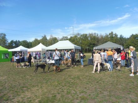 CITA - Sommerfest mediterraner Hunde