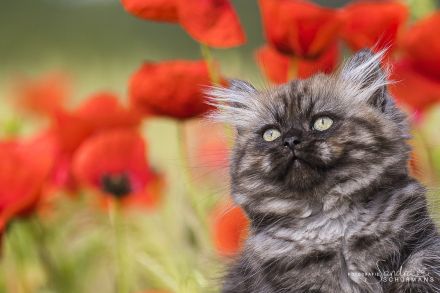 Unsere beiden Jungs warten auf die richtigen Adoptiveltern