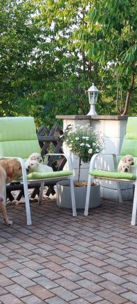 Wir suchen ein Zuhause