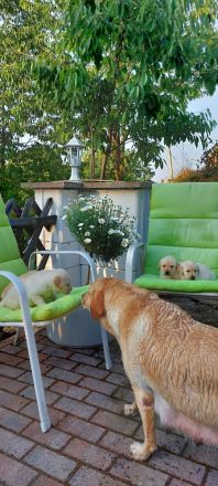 Wir suchen ein Zuhause