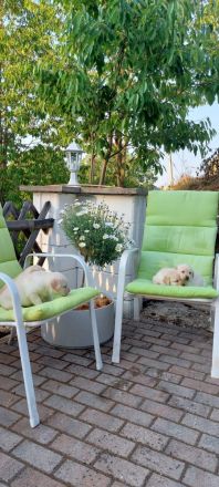 Wir suchen ein Zuhause