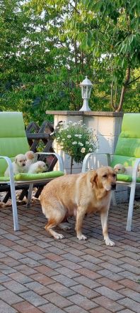 Wir suchen ein Zuhause