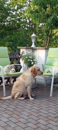 Wir suchen ein Zuhause