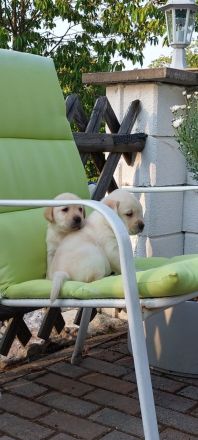 Wir suchen ein Zuhause