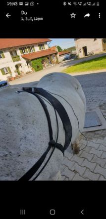 Mobile Praxis für Pferde und Hunde