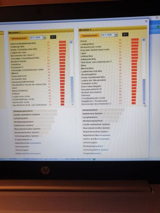 Mobile Praxis für Pferde und Hunde