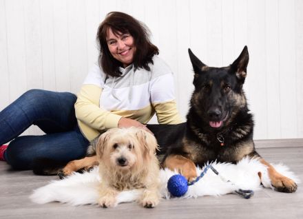 Mobile Praxis für Pferde und Hunde